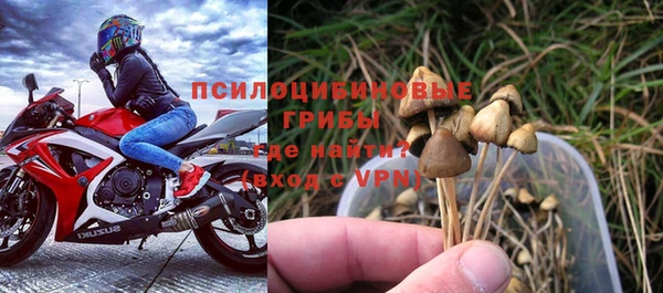 дурь Алзамай