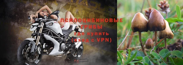мяу мяу мука Алексин